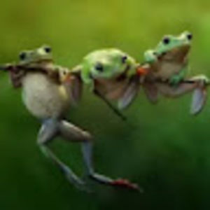 Meet your Posher, Abigail